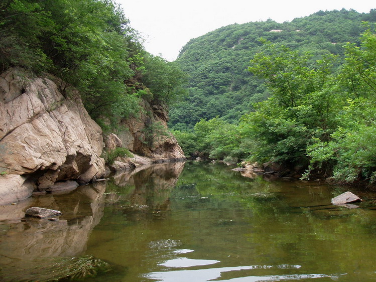 p1014762.jpg