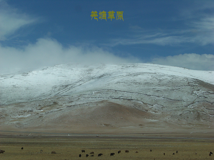 20110607i15-16 (97)Ǽԭ.jpg