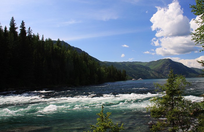 img_1126.jpg