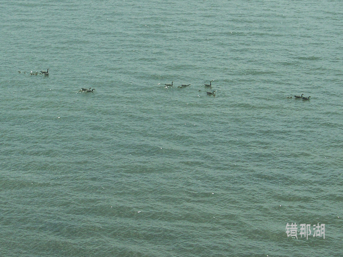 20110607kشǺ (55).jpg