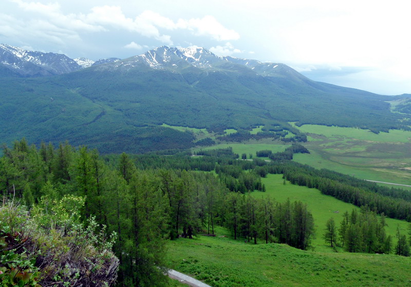 sam_9139_СС.jpg