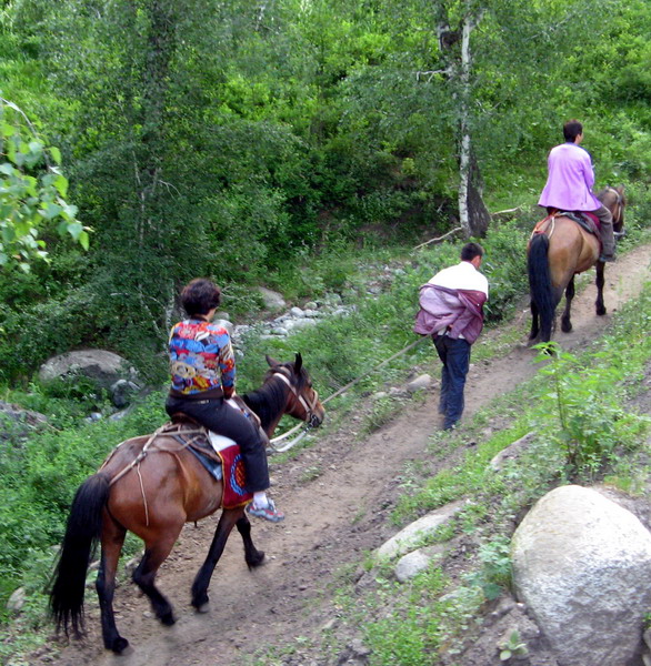 img_7713_СС.jpg