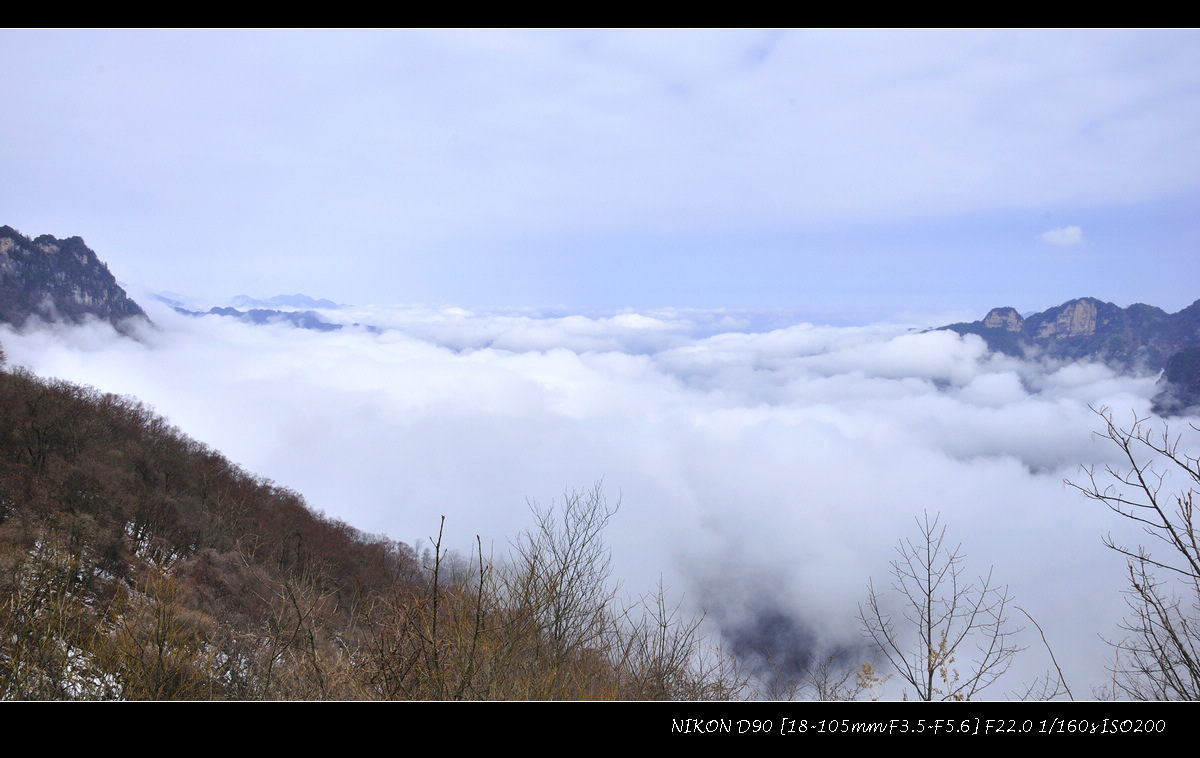 dsc_0208.jpg