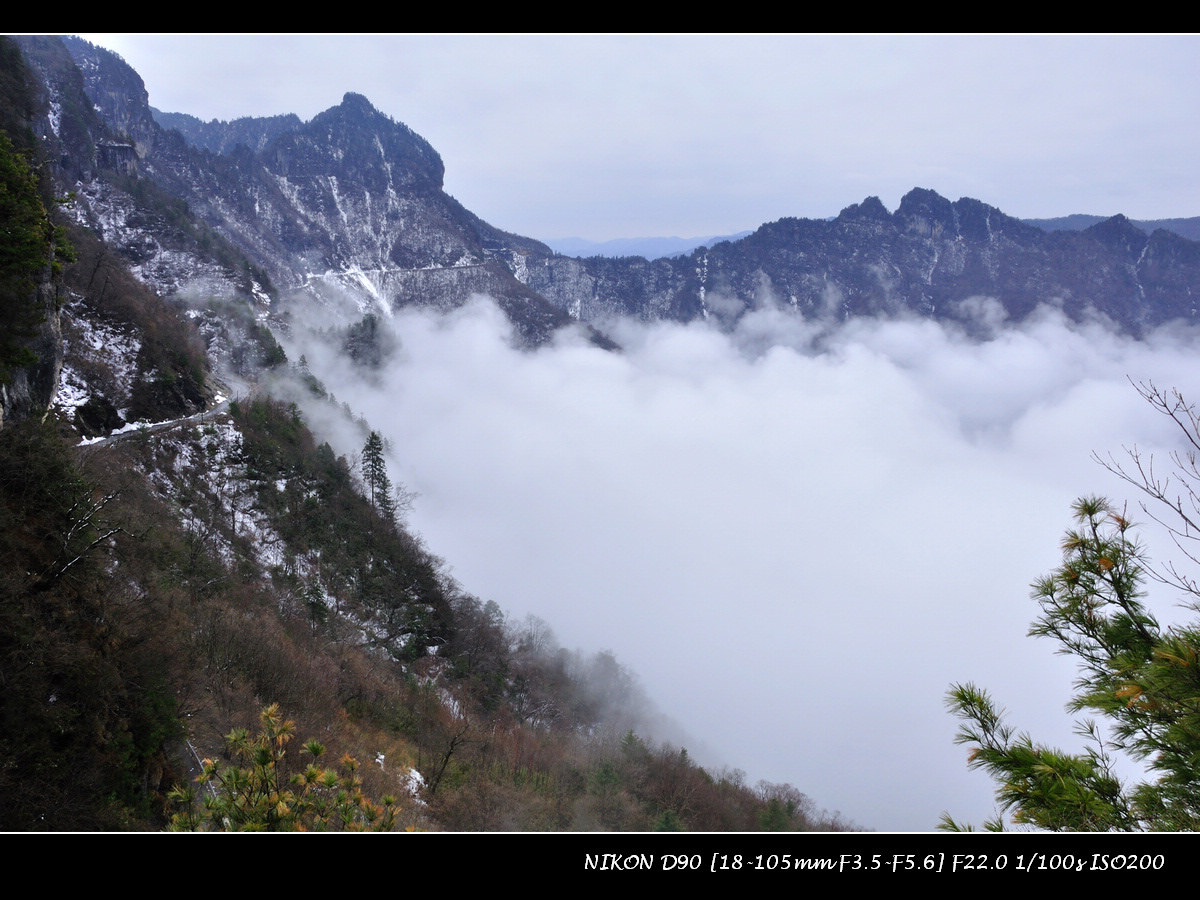 dsc_0305.jpg