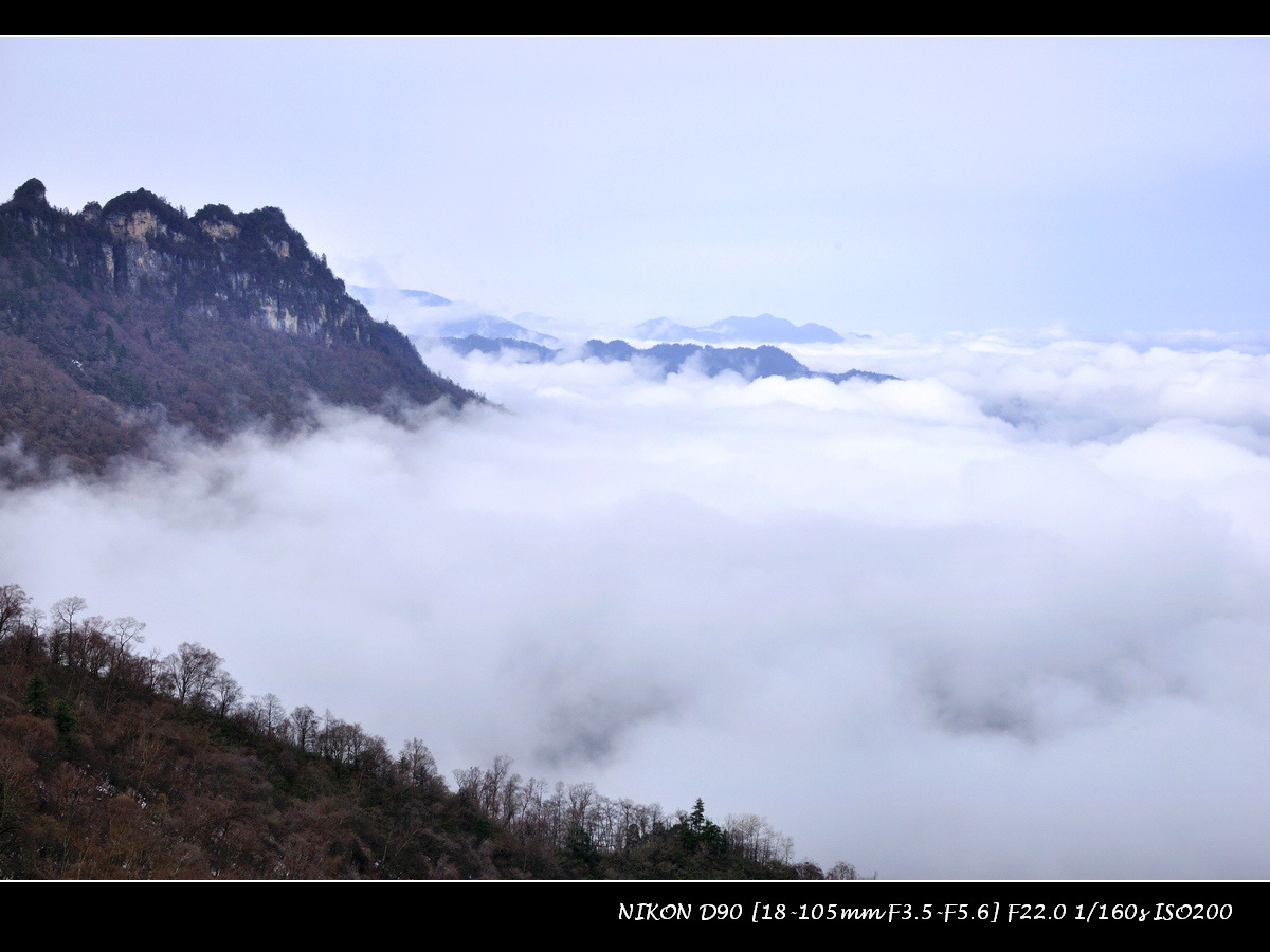 dsc_0217.jpg