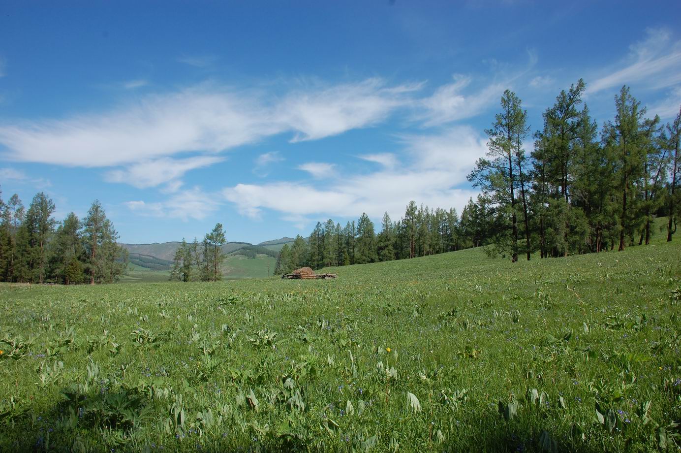 dsc_0125.jpg