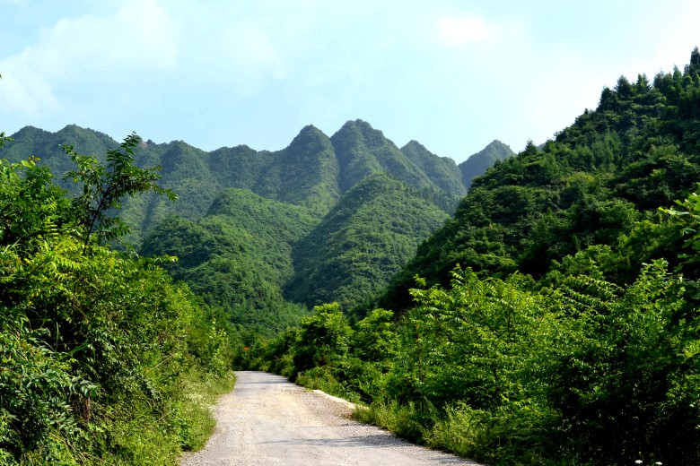 μ 086_conew1.jpg