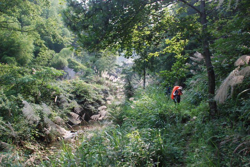 dsc_4328.jpg