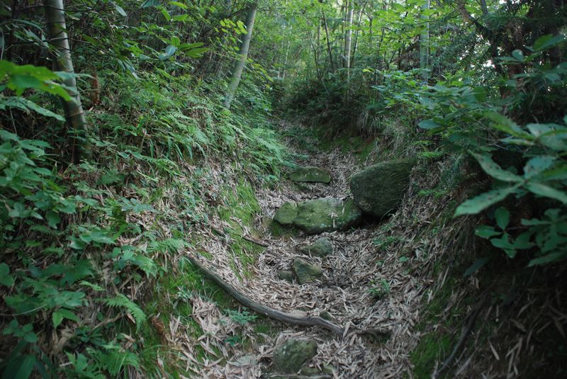 dsc_4357.jpg