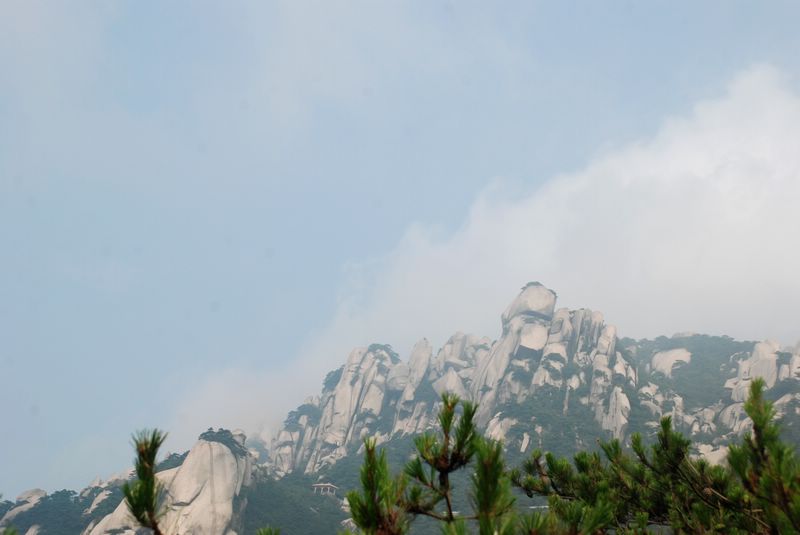 dsc_4444.jpg