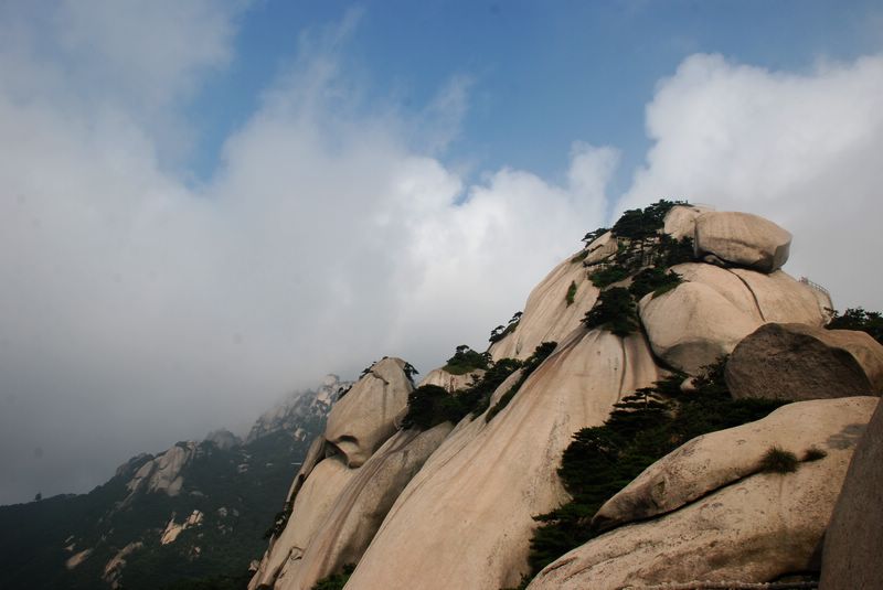 dsc_4498.jpg