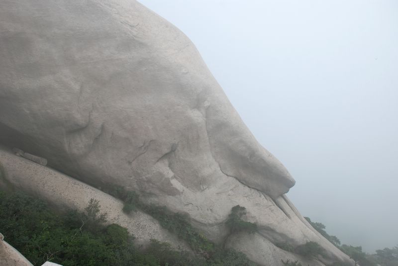 dsc_4579.jpg