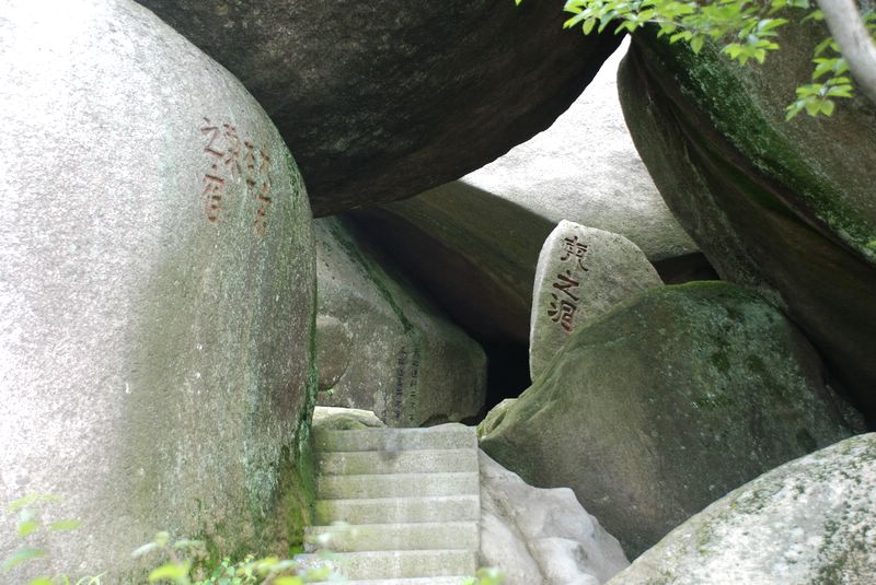 dsc_4595.jpg