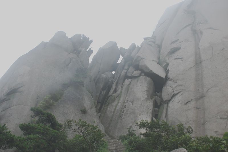 dsc_4618.jpg