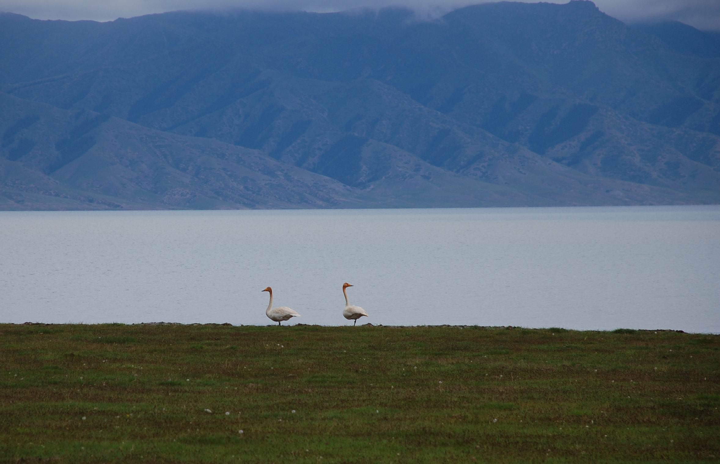 dsc_0360.jpg
