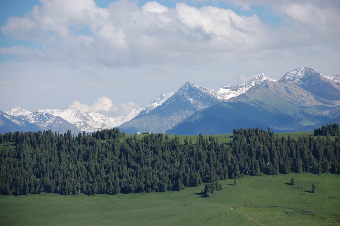 dsc_0715.jpg