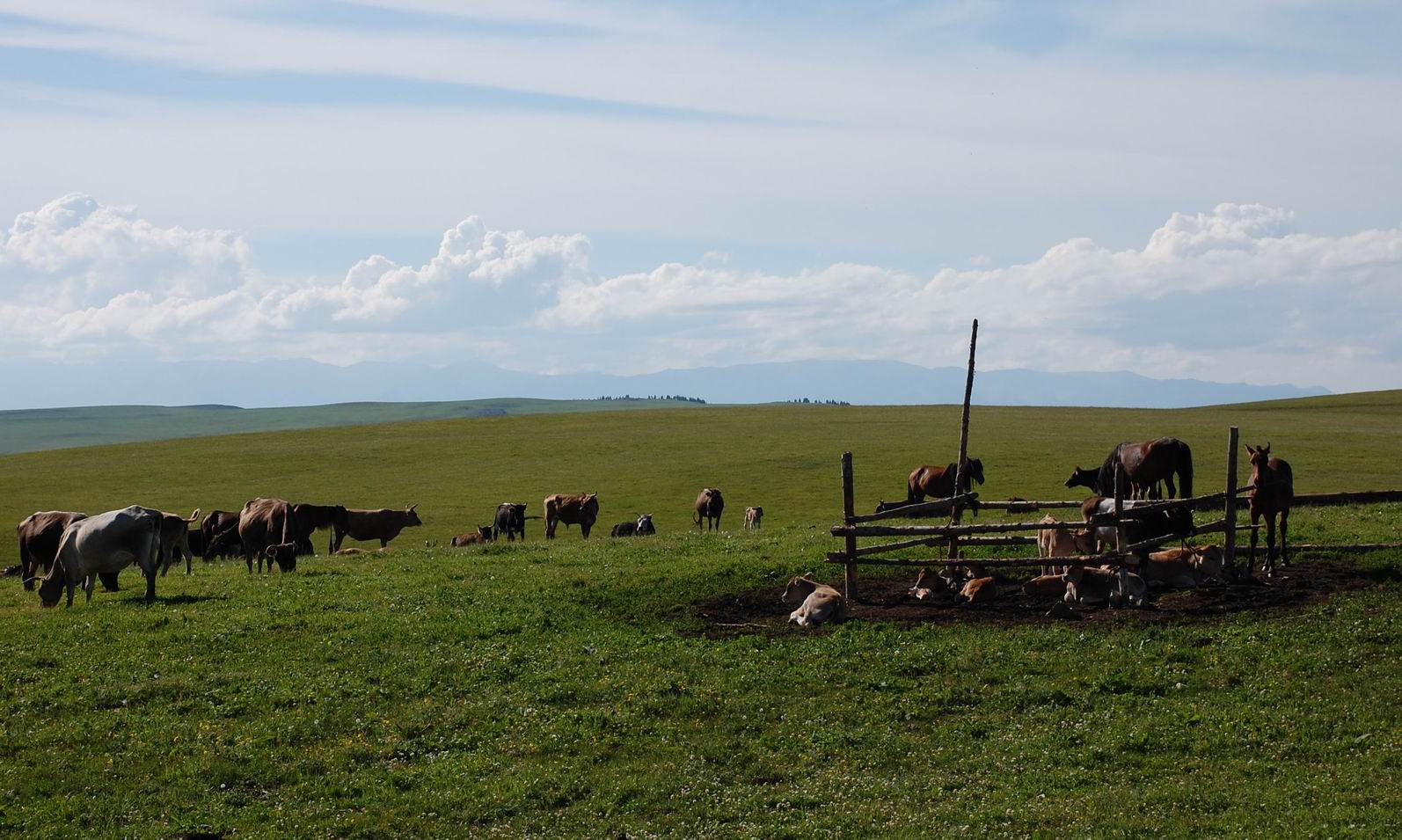 dsc_0712.jpg