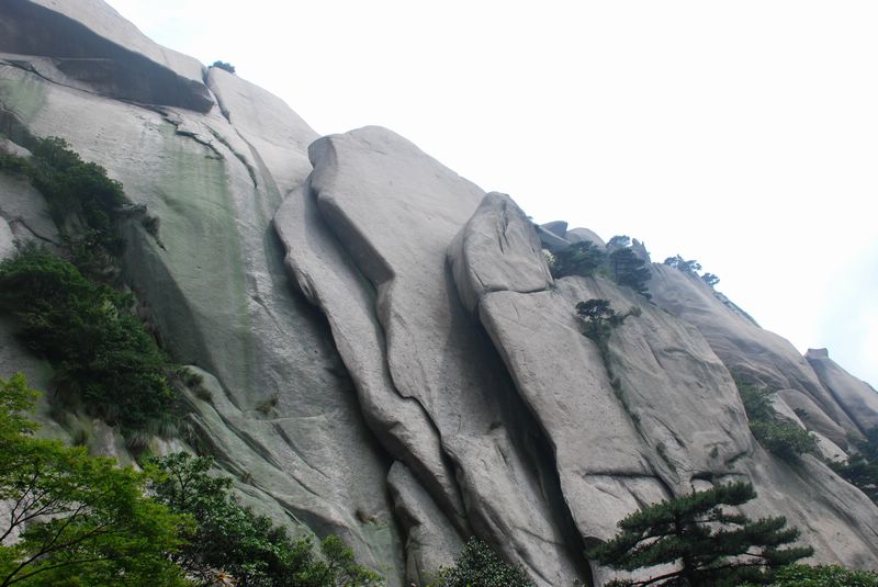 dsc_4735.jpg