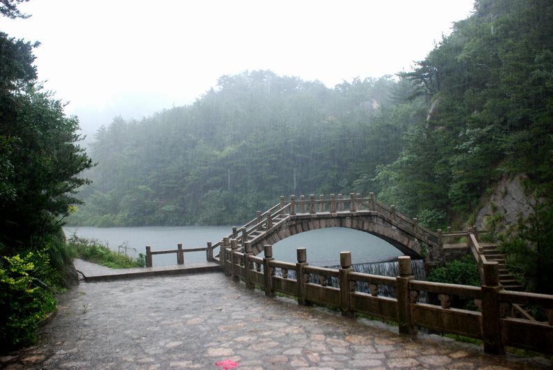 dsc_4762.jpg