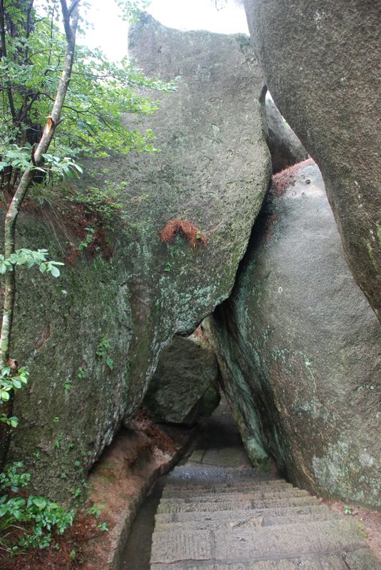 dsc_4794.jpg