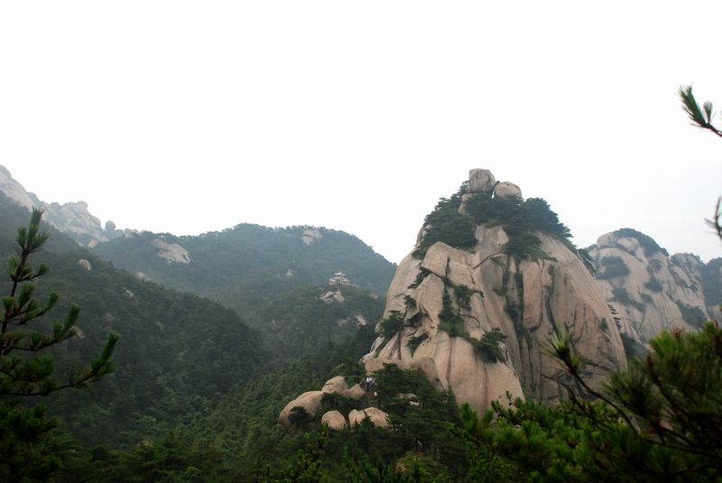 dsc_4796.jpg