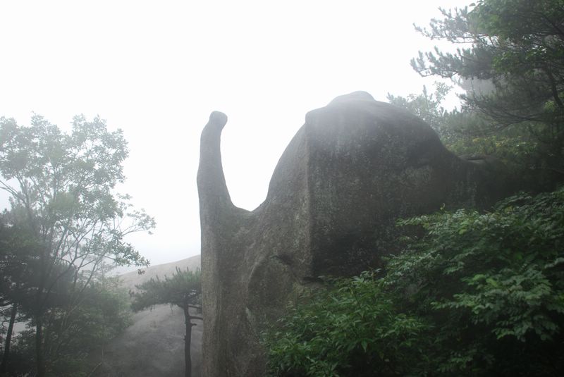 dsc_4868.jpg