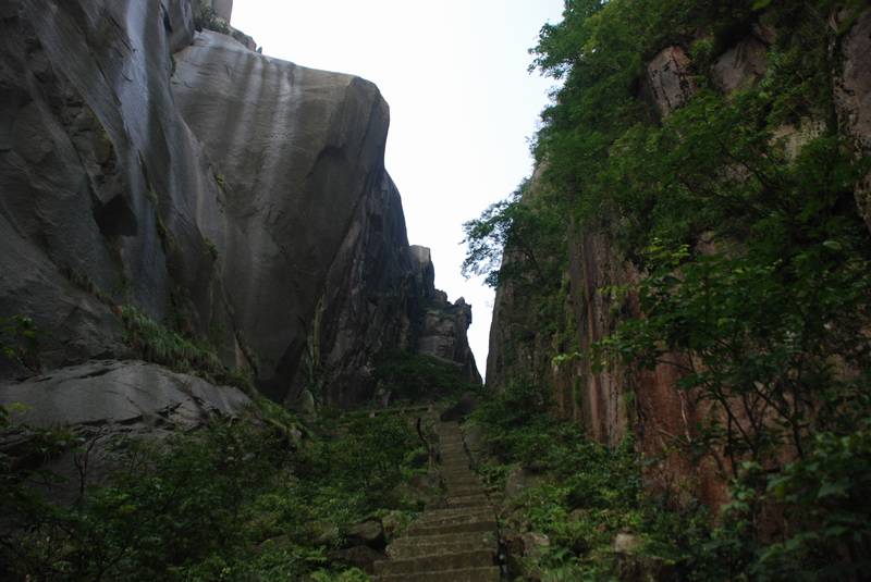 dsc_5034.jpg