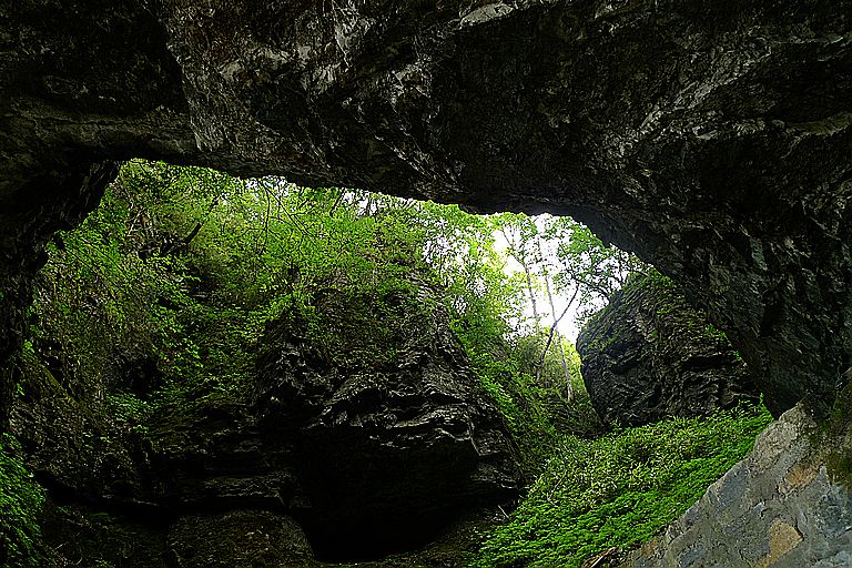 p1080065.jpg