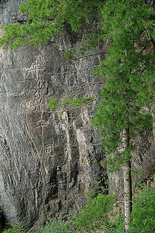 p1080063.jpg