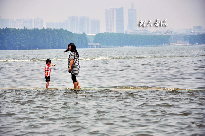 neo_img_dsc_6553.jpg