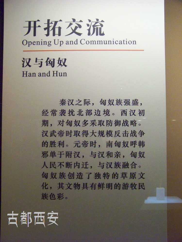 20110602cʷ (40).jpg