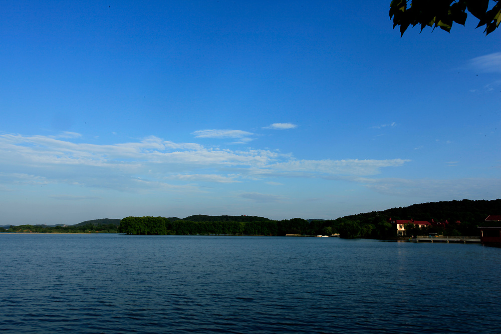 _mg_0252.jpg