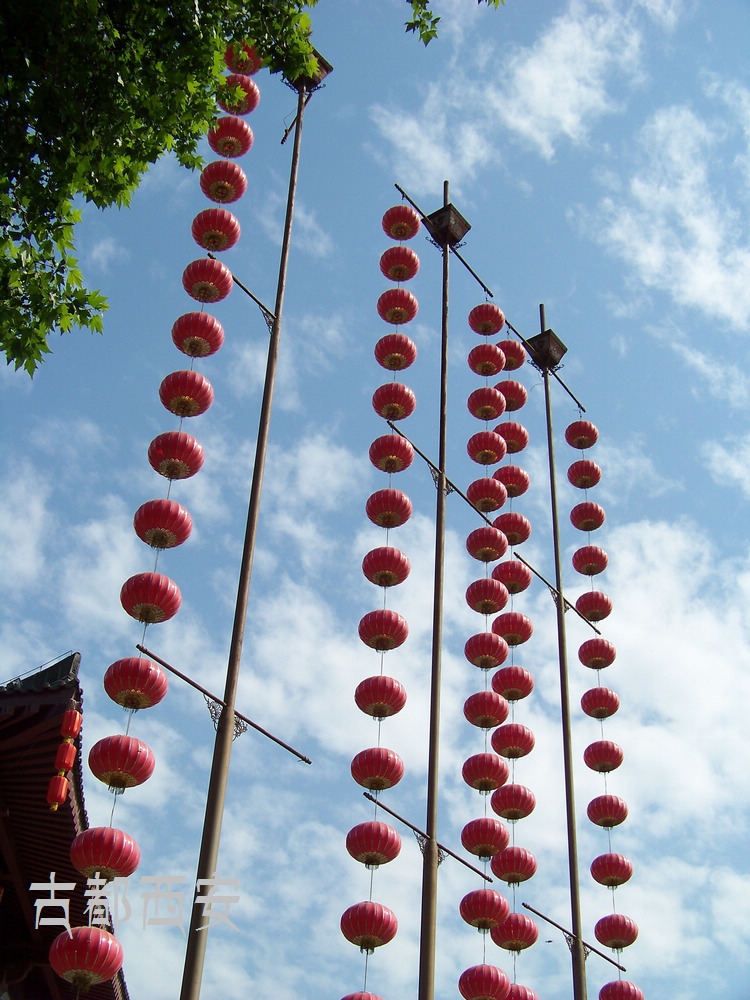 20110602d㳡 (11).jpg