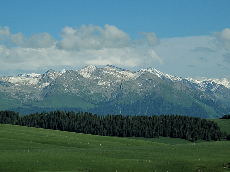 img_0521_.jpg