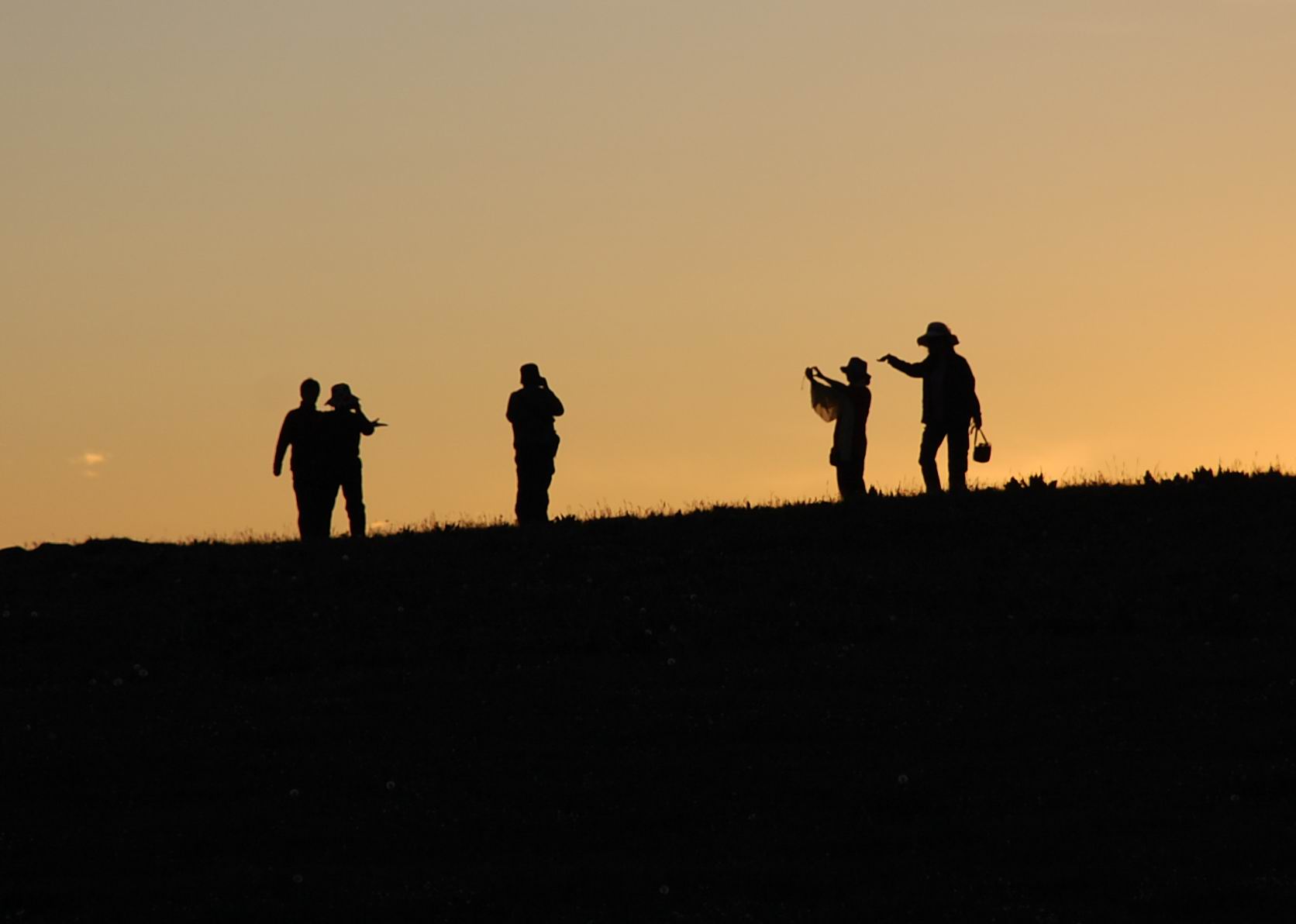 dsc_0856.jpg