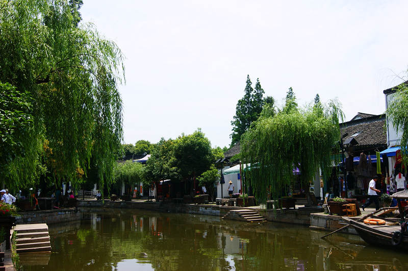 dsc07239.jpg