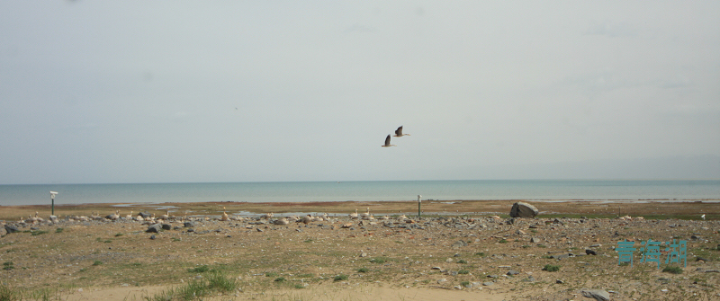 20110605jຣ (33).jpg