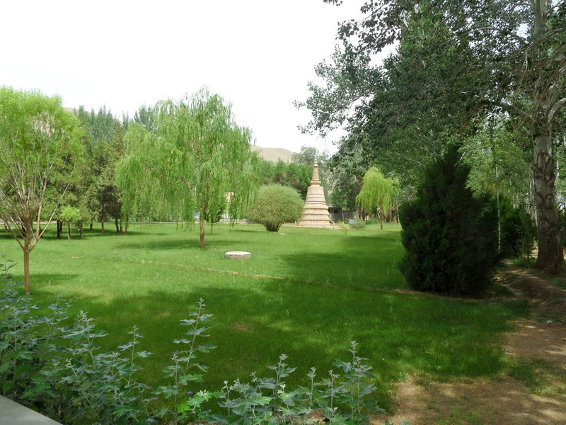 sam_8543_СС.jpg
