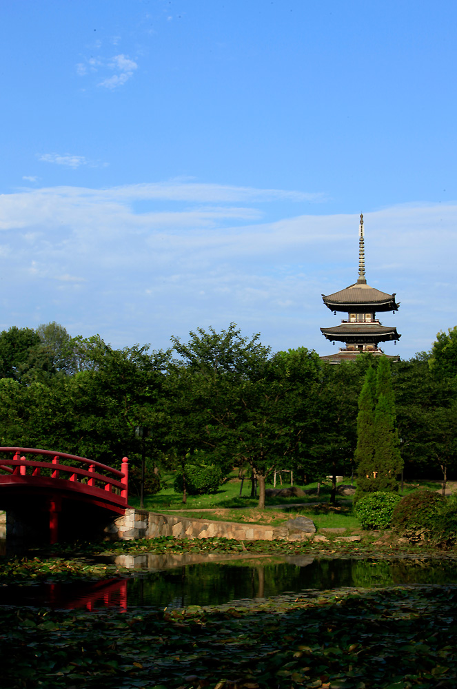 _mg_0247.jpg