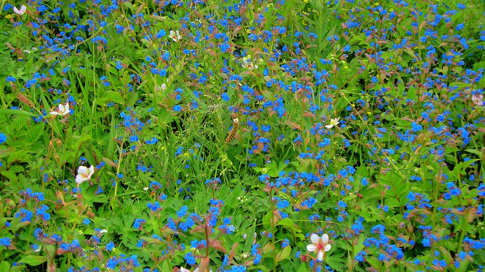 dsc03258.jpg