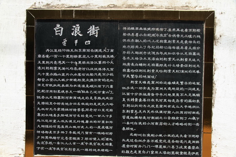 z9.jpg