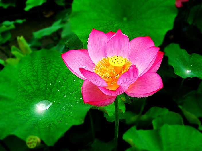 dscn9110_副本_副本.jpg