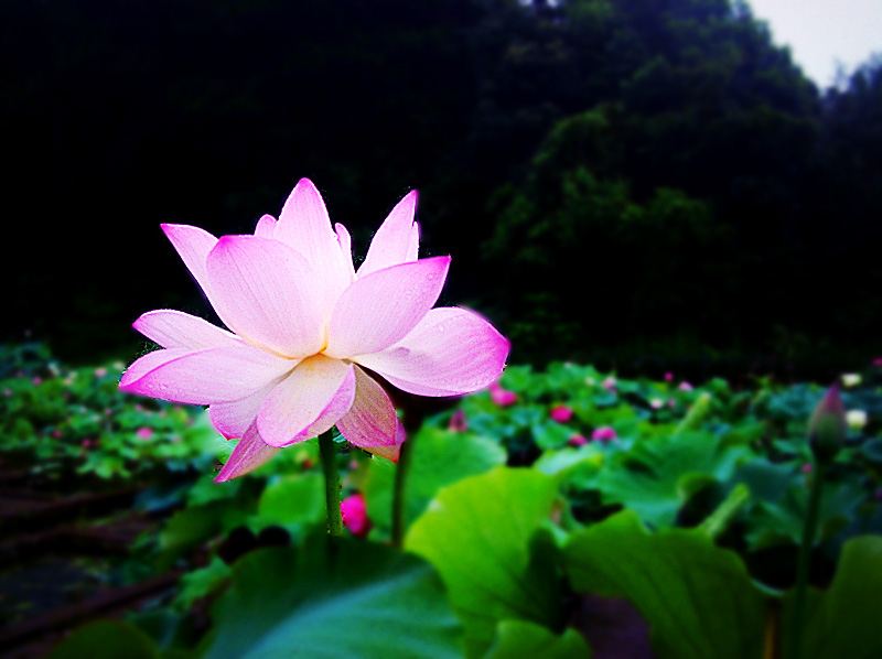 dscn9383_副本.jpg