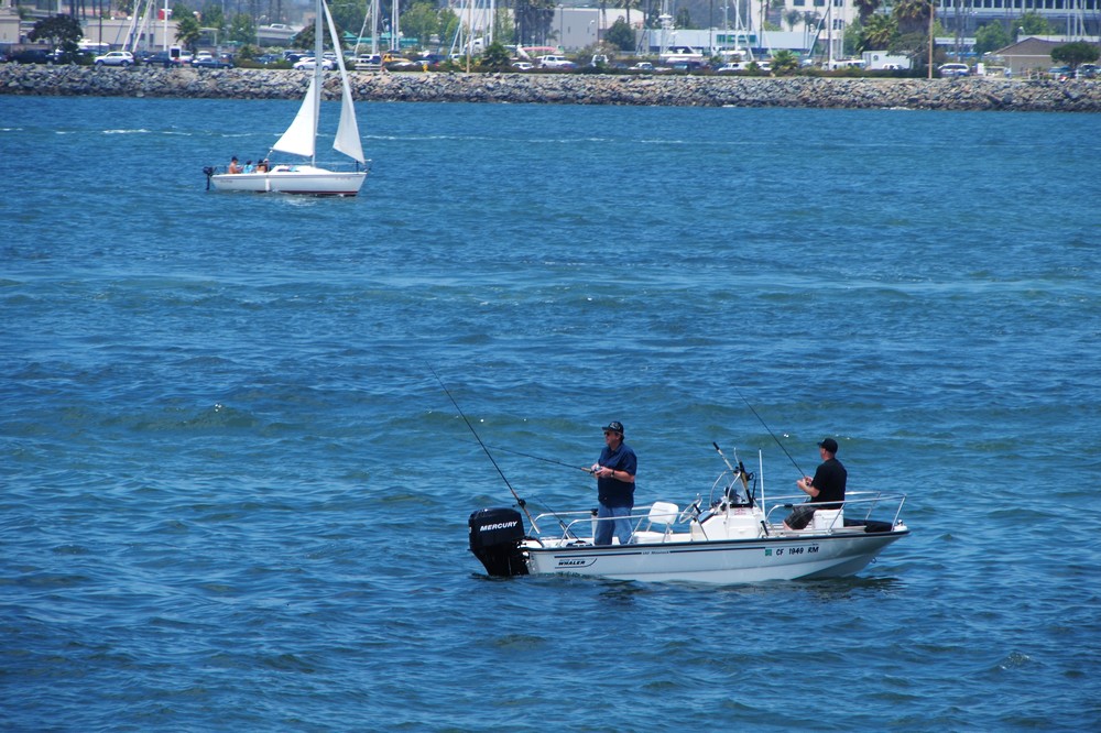 k1111788.jpg