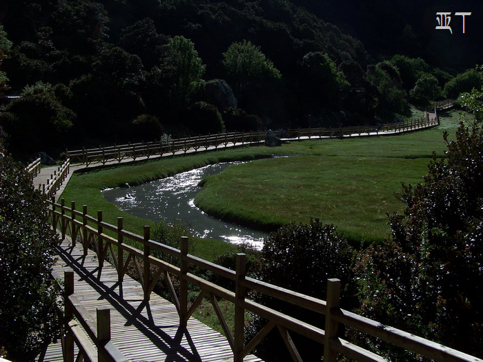 20110618jĴǶ (205).jpg