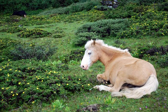 С dsc_0406.jpg