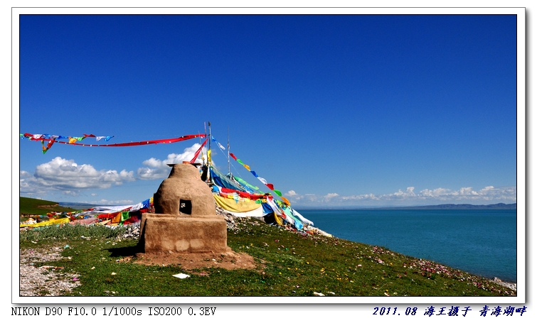 neo_img_dsc_0531.jpg