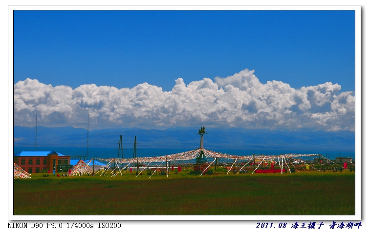 neo_img_dsc_0566.jpg