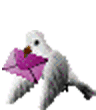 0955123i6o56ky11821ya3.gif