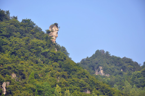 羰.jpg